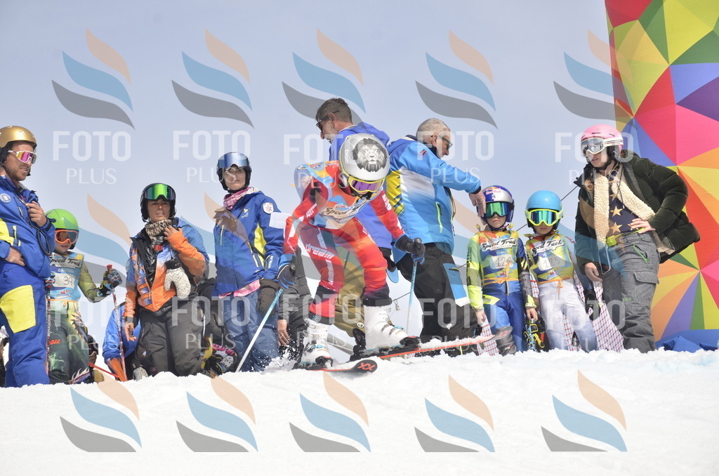 _ELE8681 | holidayphoto