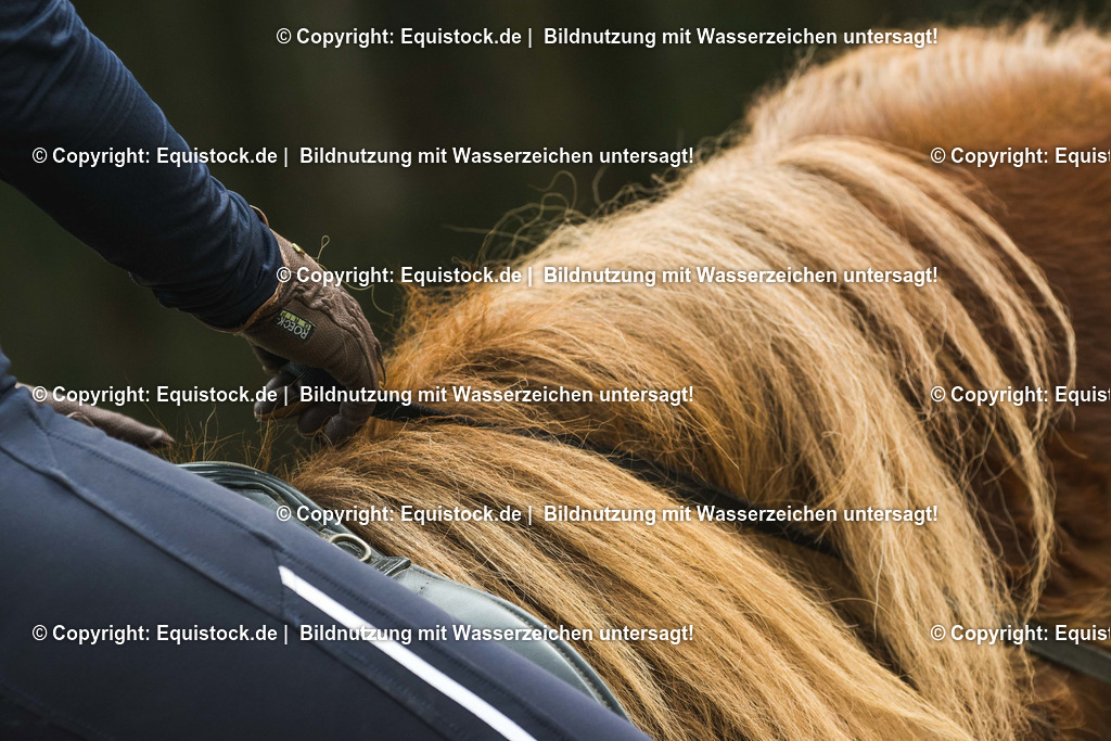 TS_20170415_Roeckl_Isi_0001 1 | Foto: Thomas Hartig