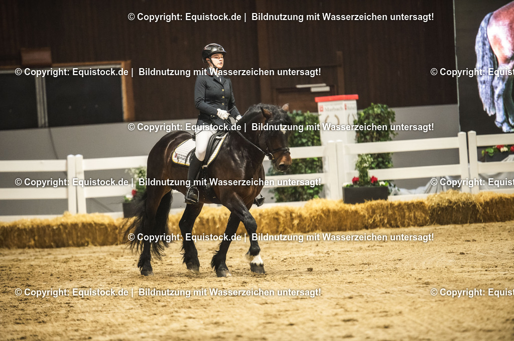 20240302_Hengstvorstellung_Marbach_TOMsPiC_0278 | equistock