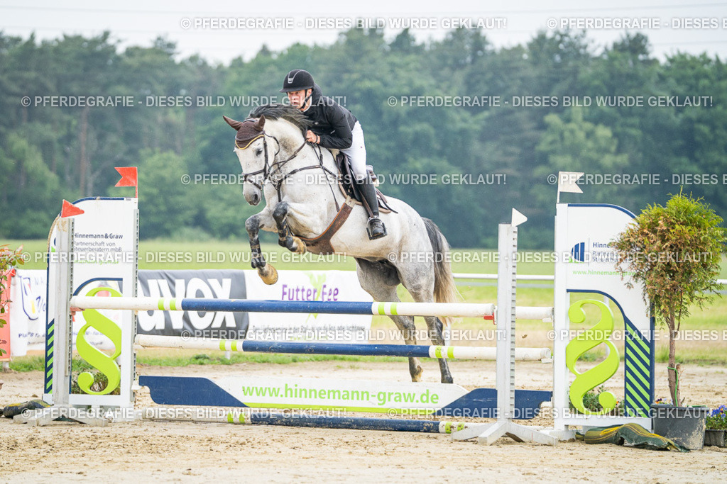 DSC00501 | Pferdegrafie