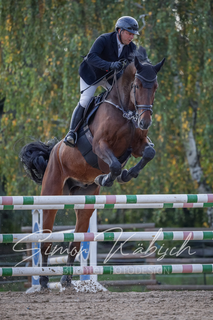 20251012-_3LI5671 | Tierfotografie Pferde, Hunde, Katzen, Haustiere.
Turnierfotografie Reitturniere, Reiten, Springreiten, Dressur in Hanau, dem Main-Kinzig-Kreis und dem Rhein-Main- Gebiet um Frankfurt