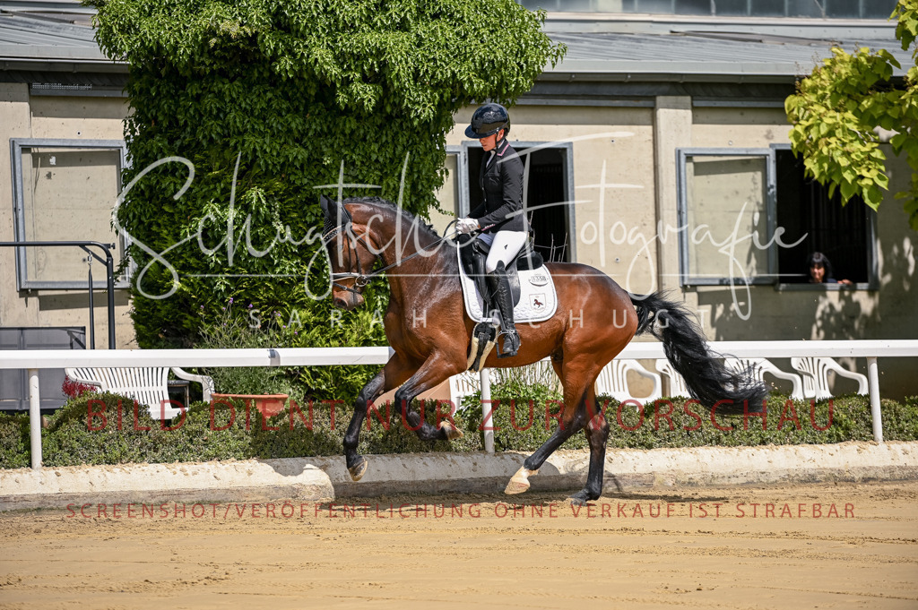 Schugtsche-Aluta25-48.Reitpferfdeprf.-44 | Schugtsche Fotografie - Realisiert mit Pictrs.com