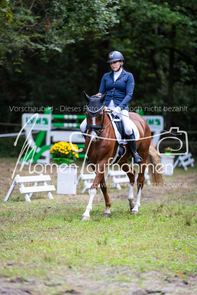 HB-A-Dressur-150 | MomenTaufnahmen Pferdesportfotos