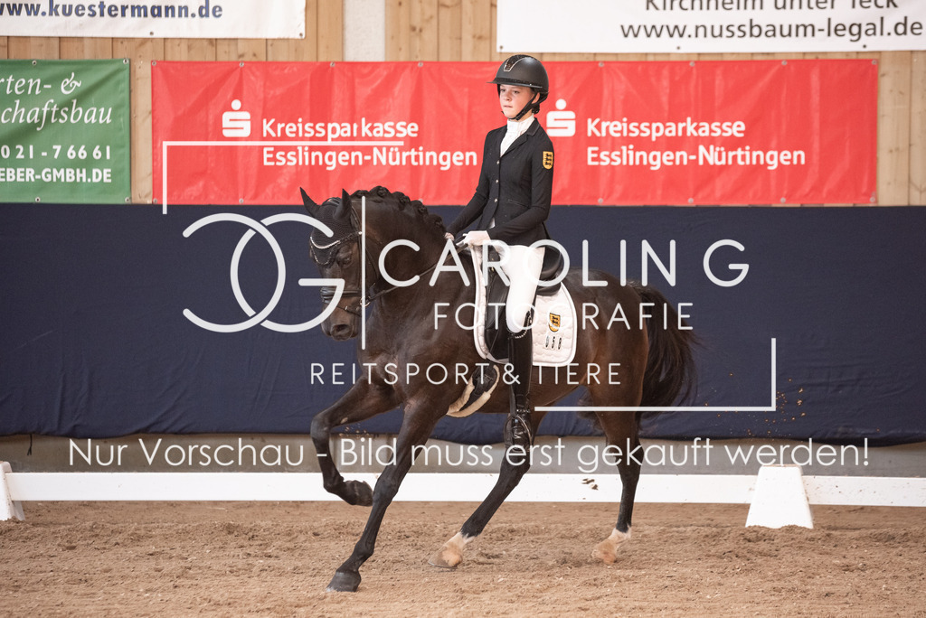 DSC_3340 | Carolin Gieschke