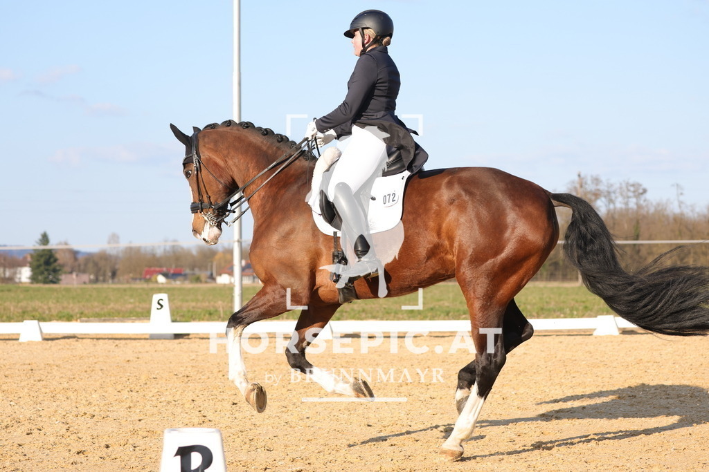 0P6A8142 | Willkommen bei Brunnmayr - Design & Fotografie – Ihrem Spezialisten für Reitturniere und Pferdeveranstaltungen in Oberösterreich, Salzburg und Bayern! Seit über 17 Jahren sind wir leidenschaftlich dabei.
