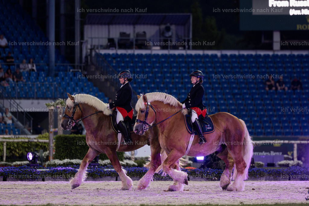 TSCHIO26_PferdundSinfonie_StoibphotographyTSCHIO26_Pferd-Sinfonie_Stoibphotography_AM11463.CR3.jpg | working equitationturnier fotograf videograf stoibphotography marixx film working equitation deutschland reitsport turnierfotografie eventfotografie equestrian events