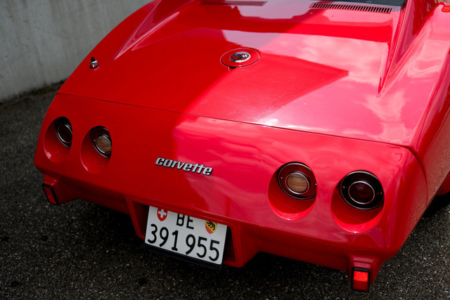 Calag_Oldtimer2025-13 | Ich fotografiere Hundeausstellungen, Sportanlässe, Zuchtstätten, Hundezucht, Hundeportrait, Lagotto - Realisiert mit Pictrs.com