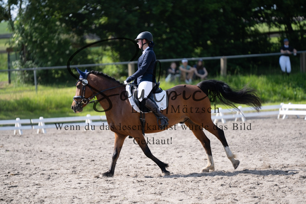 A7V02495 | Pferdefotograf