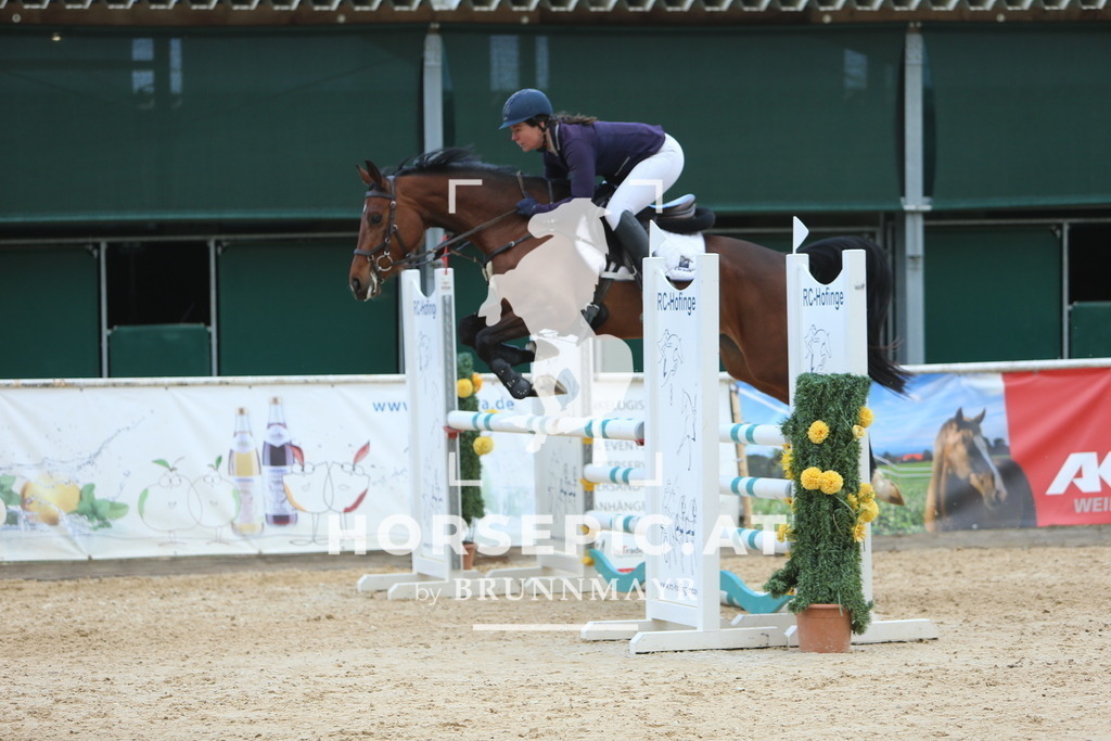 DL2Q9579 | Willkommen bei Brunnmayr - Design & Fotografie – Ihrem Spezialisten für Reitturniere und Pferdeveranstaltungen in Oberösterreich, Salzburg und Bayern! Seit über 17 Jahren sind wir leidenschaftlich dabei.