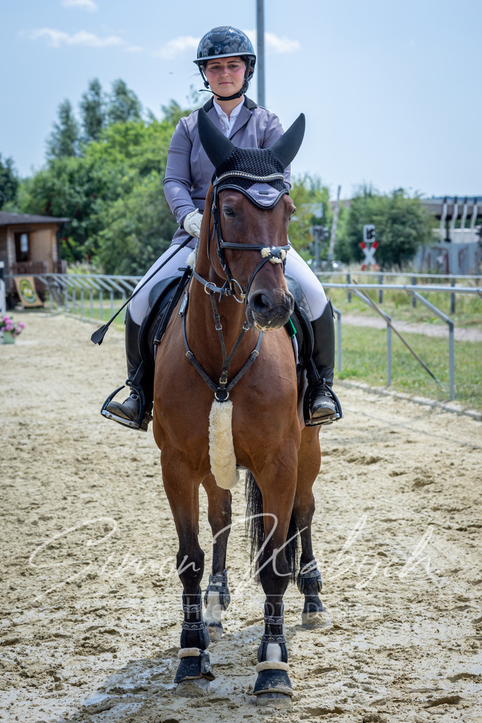 20260704-_3LI9109 | Tierfotografie Pferde, Hunde, Katzen, Haustiere.
Turnierfotografie Reitturniere, Reiten, Springreiten, Dressur in Hanau, dem Main-Kinzig-Kreis und dem Rhein-Main- Gebiet um Frankfurt