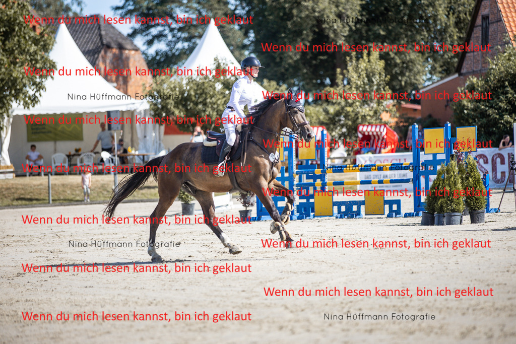 BK1A7033 | Turnierbilder Turnierfotos Nina Hüffmann Turnierfotografie Pferdefotografie Tierzeichnung Haustierzeichnung Pferdezeichnung Hundezeichnung Videograf  - Realisiert mit Pictrs.com
