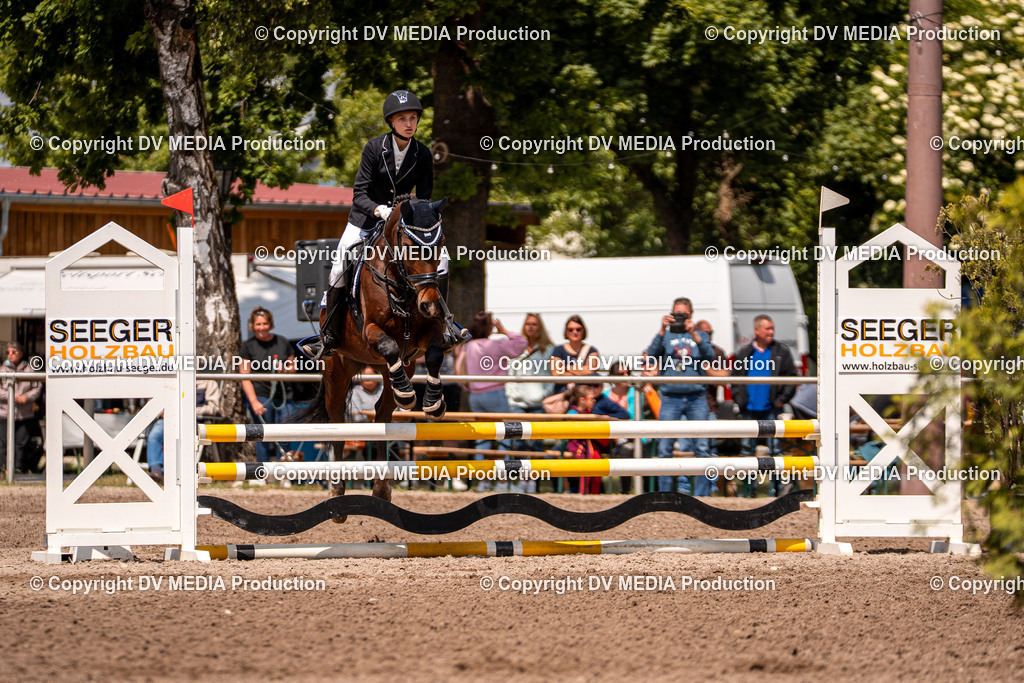 Eppelheim Tag 3-471 | dv-media-shop - Realisiert mit Pictrs.com