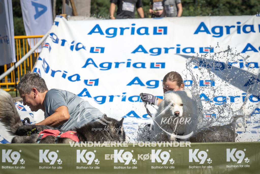 1316_ZZ99469 | kk-dogfotos