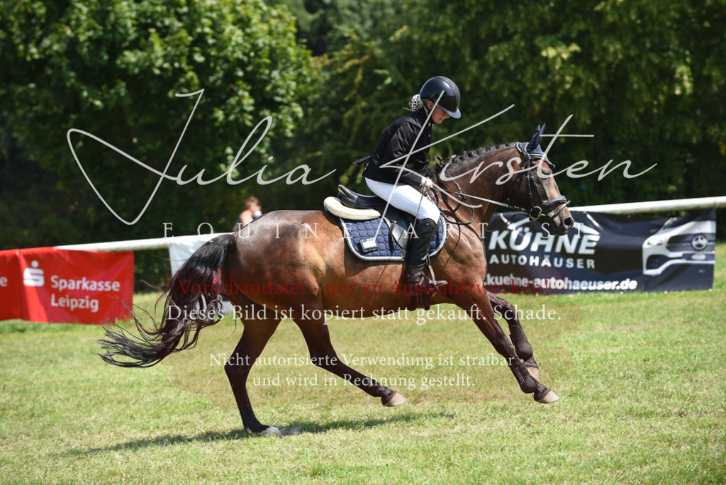 DSC_9931 | Pferde- und Turnierfotografie in Westsachsen. Pferdeportraits, Auftragszeichnungen und intuitive Kunst.