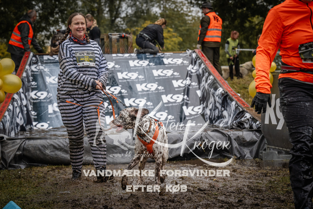 1111_ZZ92056 | kk-dogfotos