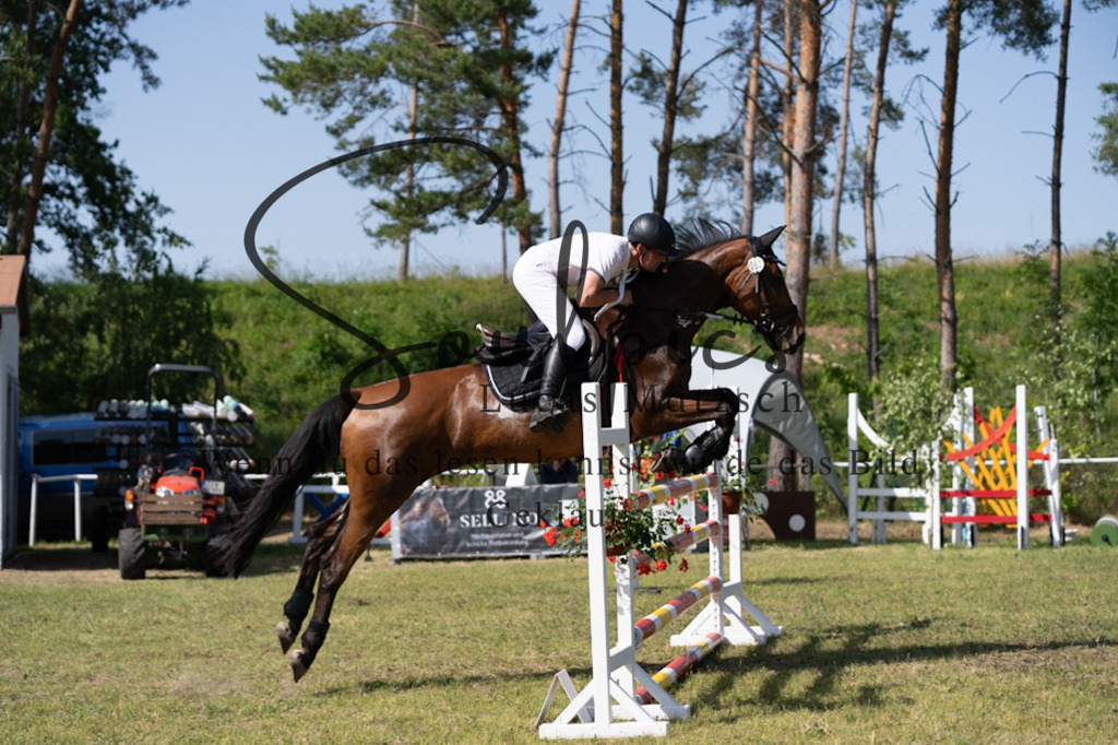 A7V06551 | Pferdefotograf