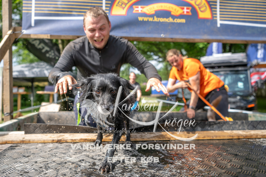 1002_ZZ93754 | kk-dogfotos