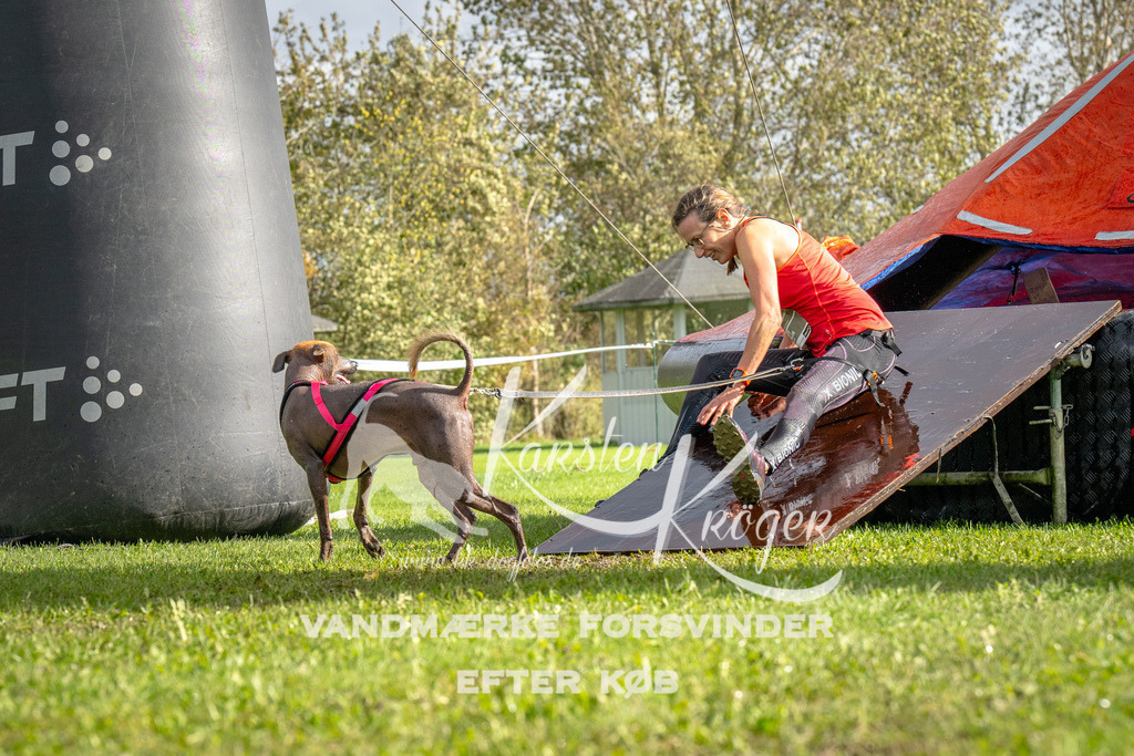 1220-93361 | kk-dogfotos