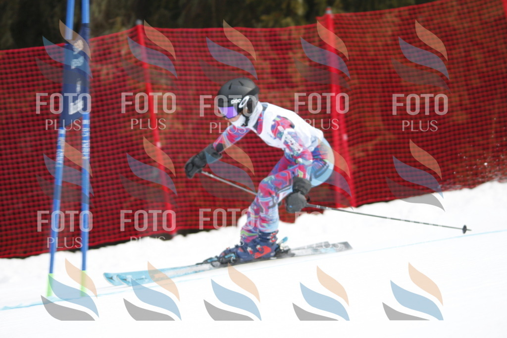 D5081 | holidayphoto