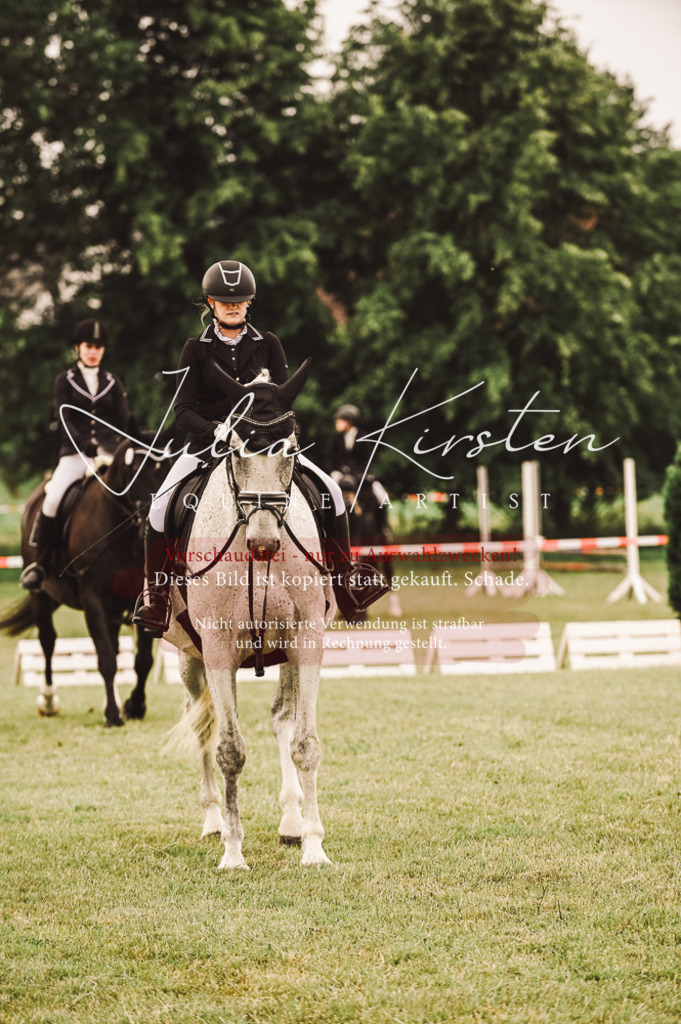DSC_5026 | Pferde- und Turnierfotografie in Westsachsen. Pferdeportraits, Auftragszeichnungen und intuitive Kunst.