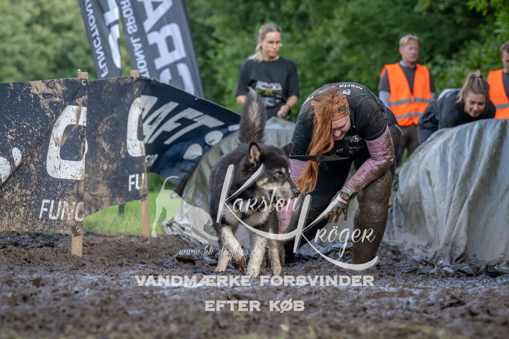 1714_ZZ91582 | kk-dogfotos