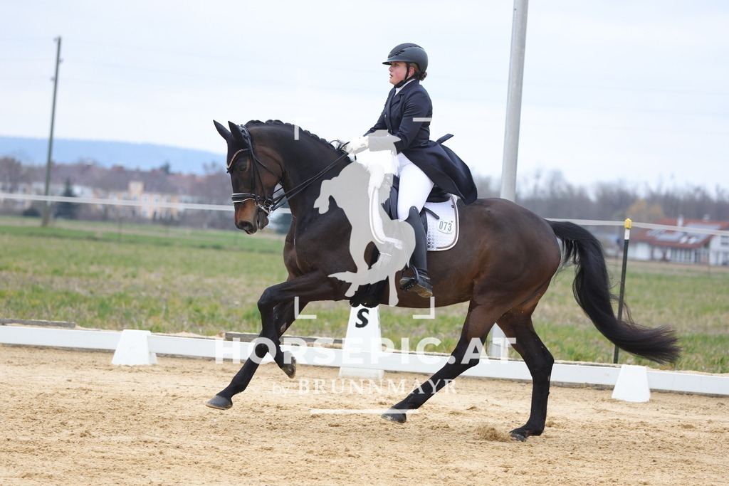 0P6A5833 | Willkommen bei Brunnmayr - Design & Fotografie – Ihrem Spezialisten für Reitturniere und Pferdeveranstaltungen in Oberösterreich, Salzburg und Bayern! Seit über 17 Jahren sind wir leidenschaftlich dabei.