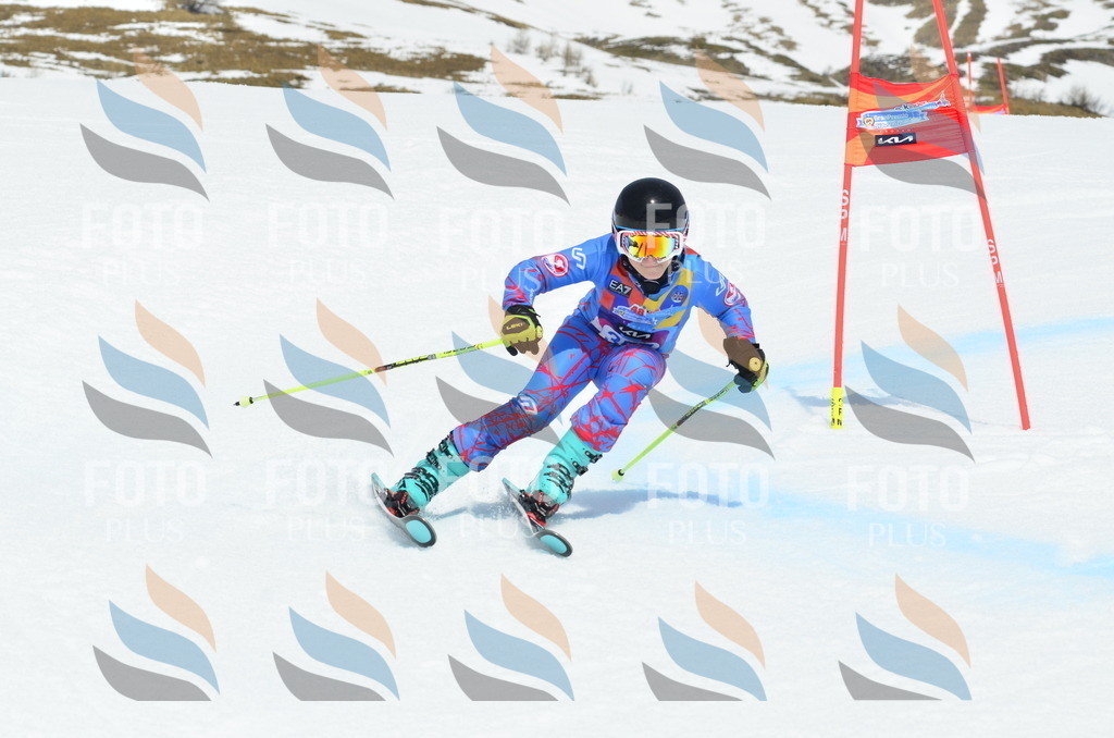 _ELE2786 | holidayphoto