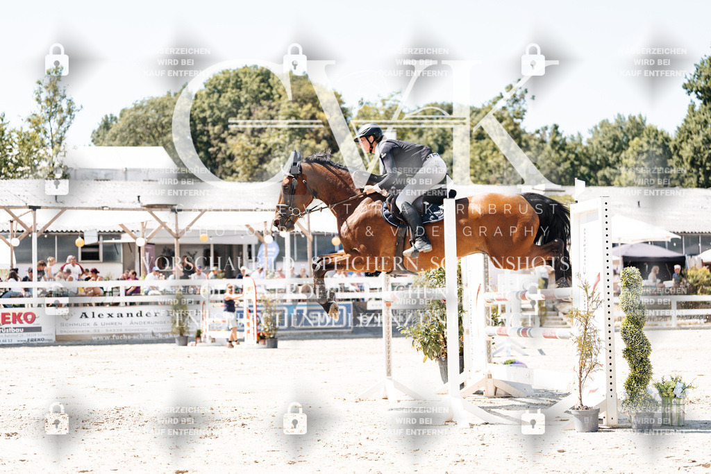 CK909972 | Turnierfotografie Pferdefotografie Trier Rheinland-Pfalz Pferdesport Reitsport Tierfotografie Sportfotografie Pferdevideo Pferdevideografie Equestrianvideography equestrianphotography  - Realisiert mit Pictrs.com
