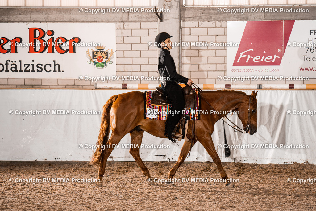 ZH300453 | dv-media-shop - Realisiert mit Pictrs.com