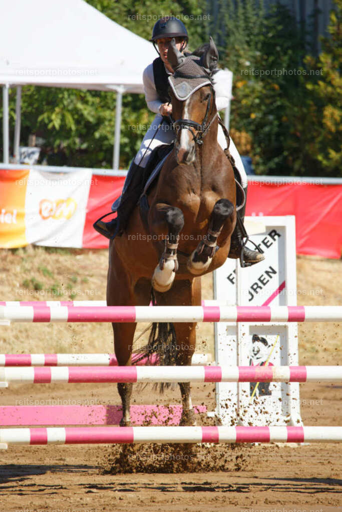 JHE_3397 | JoYa Fotografie - Realisiert mit Pictrs.com