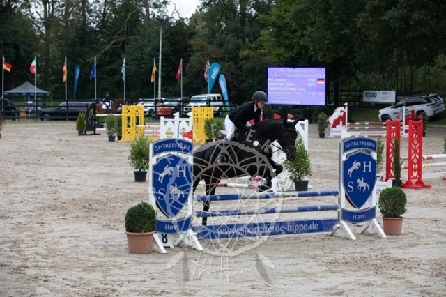 2B4A2297 | pixelfaenger - Realisiert mit Pictrs.com