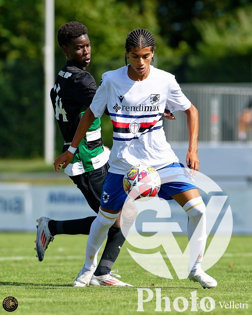 DZ8_9076 | Velletri Photo