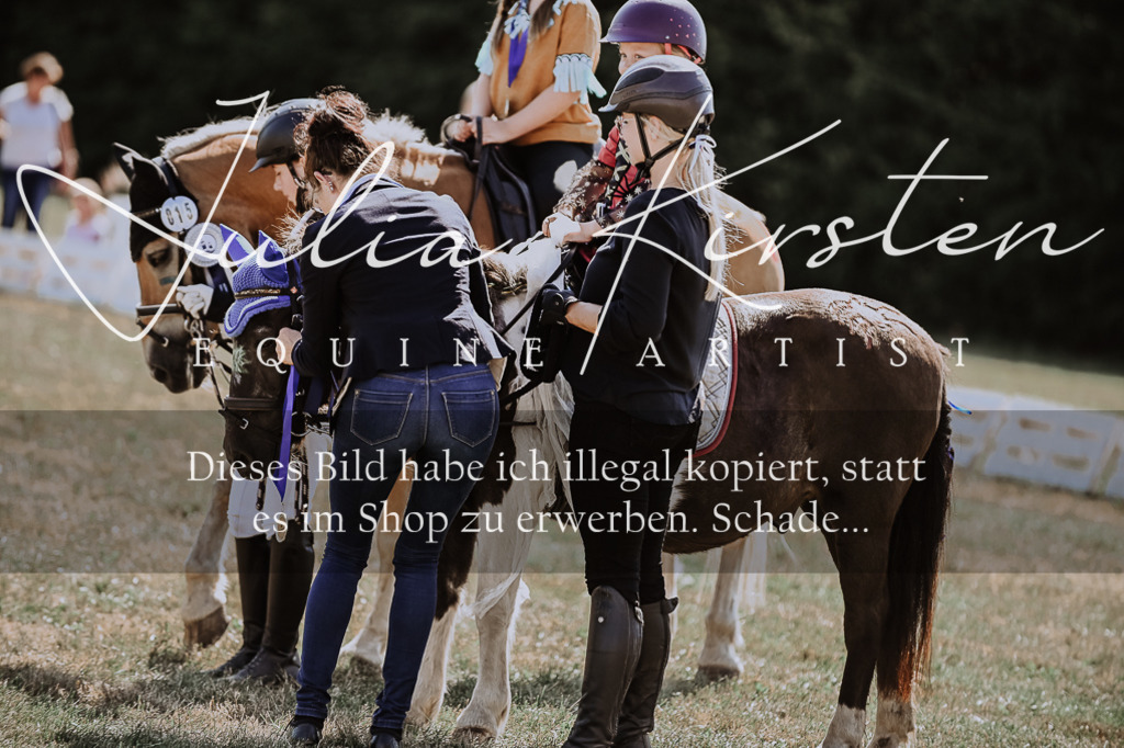 DSC_8951 | Pferde- und Turnierfotografie in Westsachsen. Pferdeportraits, Auftragszeichnungen und intuitive Kunst.