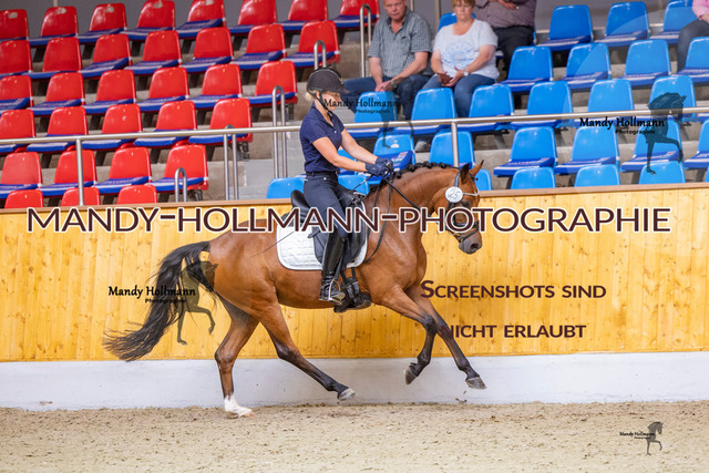 SLP 2 (374 von 1007) | mandyhollmannphotographie