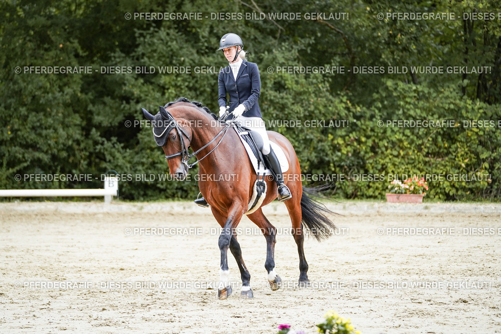 DSC09212 | Pferdegrafie