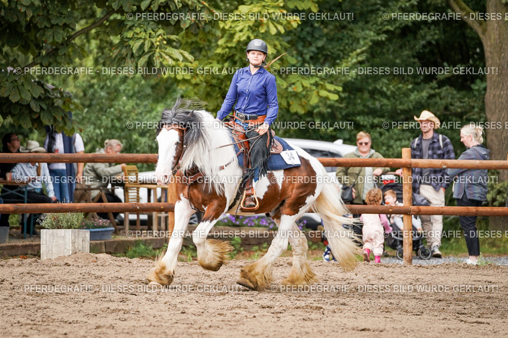 DSC07714 | Pferdegrafie