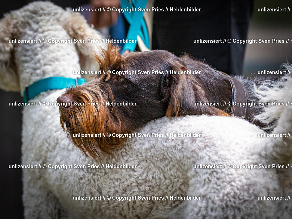 Sven Pries | 2025-05-29 - Pudelrennen KA-Durlach - Realisiert mit Pictrs.com