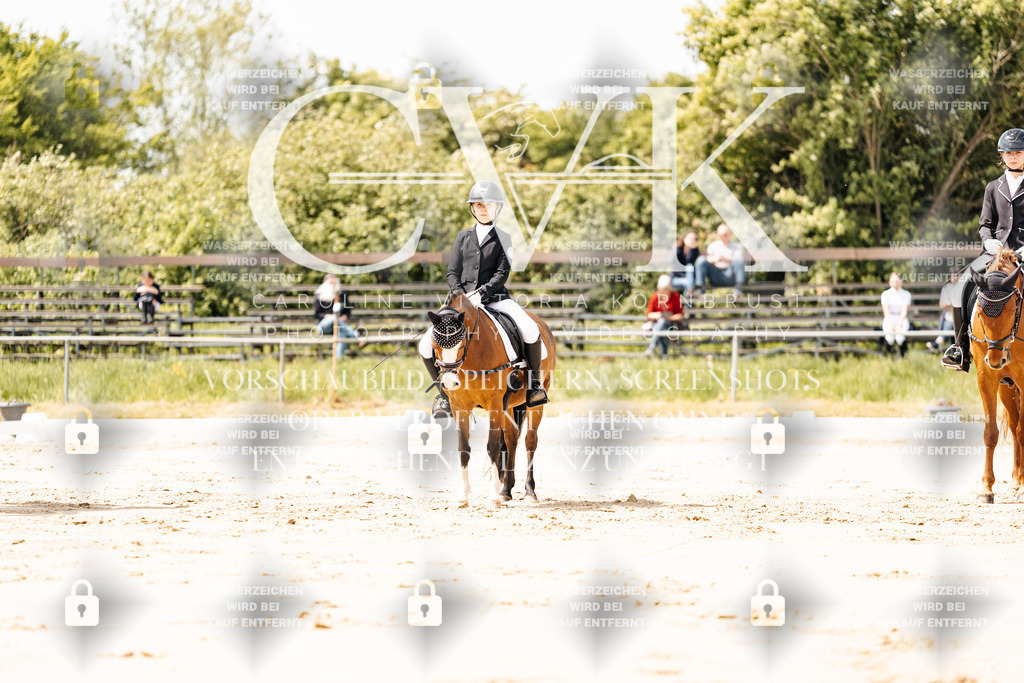 CK901760 | Turnierfotografie Pferdefotografie Trier Rheinland-Pfalz Pferdesport Reitsport Tierfotografie Sportfotografie Pferdevideo Pferdevideografie Equestrianvideography equestrianphotography  - Realisiert mit Pictrs.com