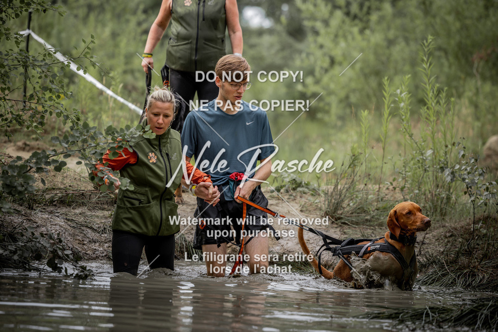 nelerasche_so0800-0930_240 | nelerasche