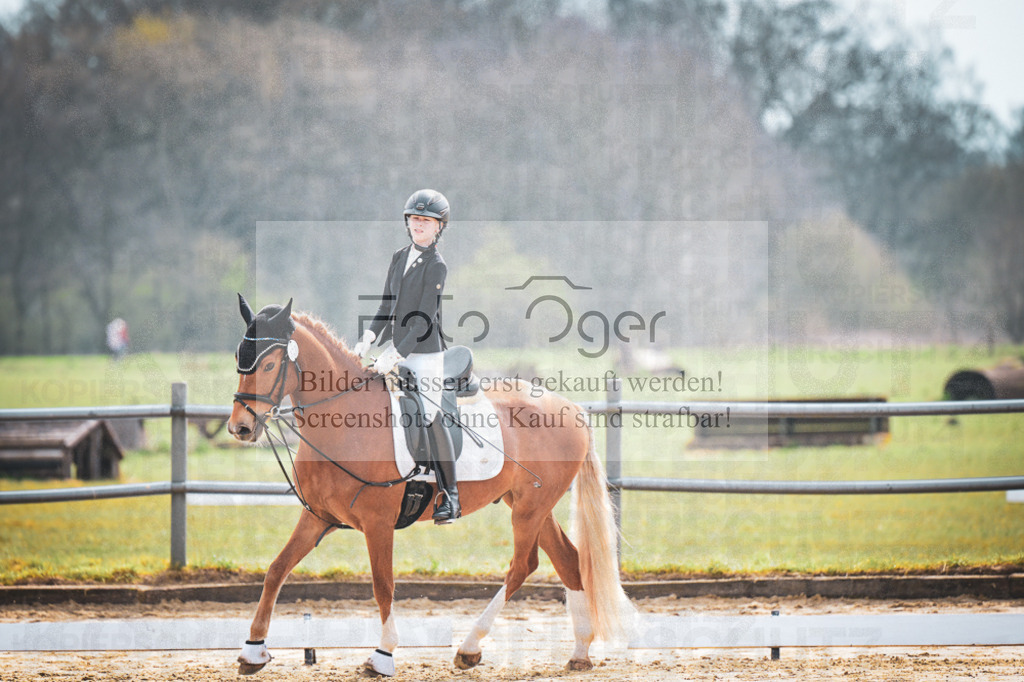 DOS_5182 | Entdecke hochwertige Reitturnierfotos von Foto Oger. Professionell, emotional und authentisch – jetzt Lieblingsmomente im Shop bestellen.Deutschlandweite Turnierfotografie. - Realisiert mit Pictrs.com