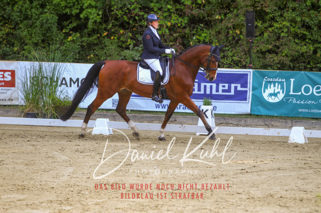 DKP41611 | Turniersportfotografie; Pferdefotografie; Dressurfotografie