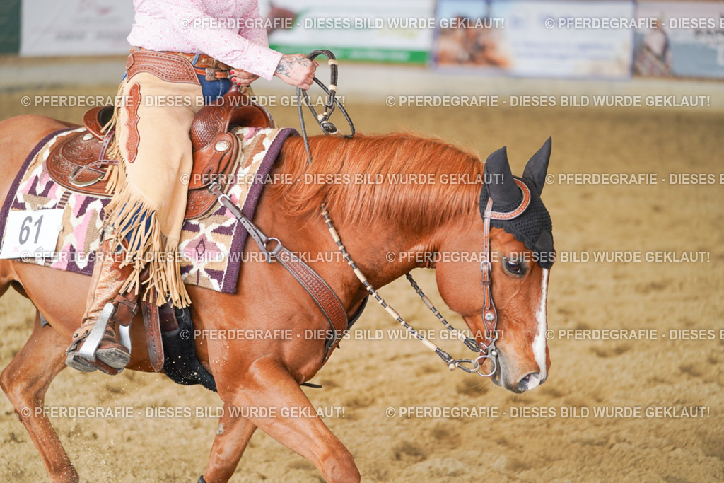 DSC02089 | Pferdegrafie