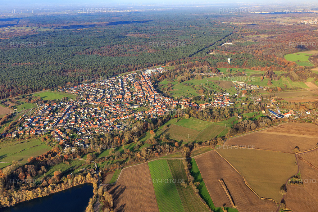 Luftbild: Dorfansicht von Süden am Rand des Bienwalds in Berg im Bundesland Rheinland-Pfalz in Deutschland. Foto: IMG_119859.jpg vom 30.11.2019 durch Werner Riehm/FLY-FOTO.de