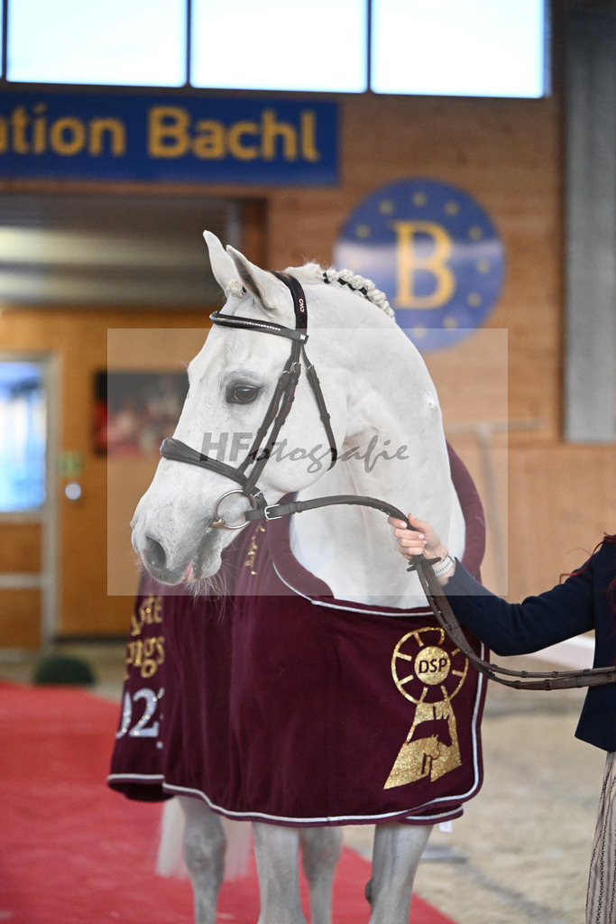 Cashmoaker_5250810 | hf-fotografie - Realisiert mit Pictrs.com