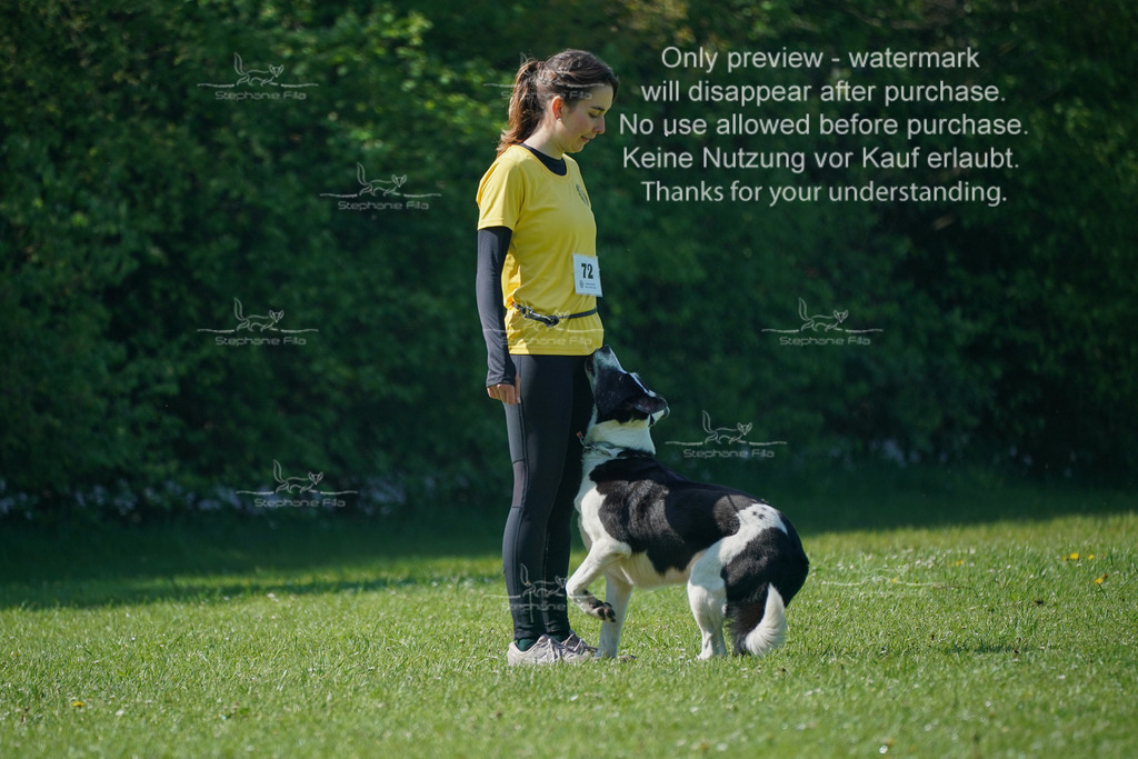 Sa_Gehorsam_Vormittag-30 | stephaniefillaphotographie - Realisiert mit Pictrs.com