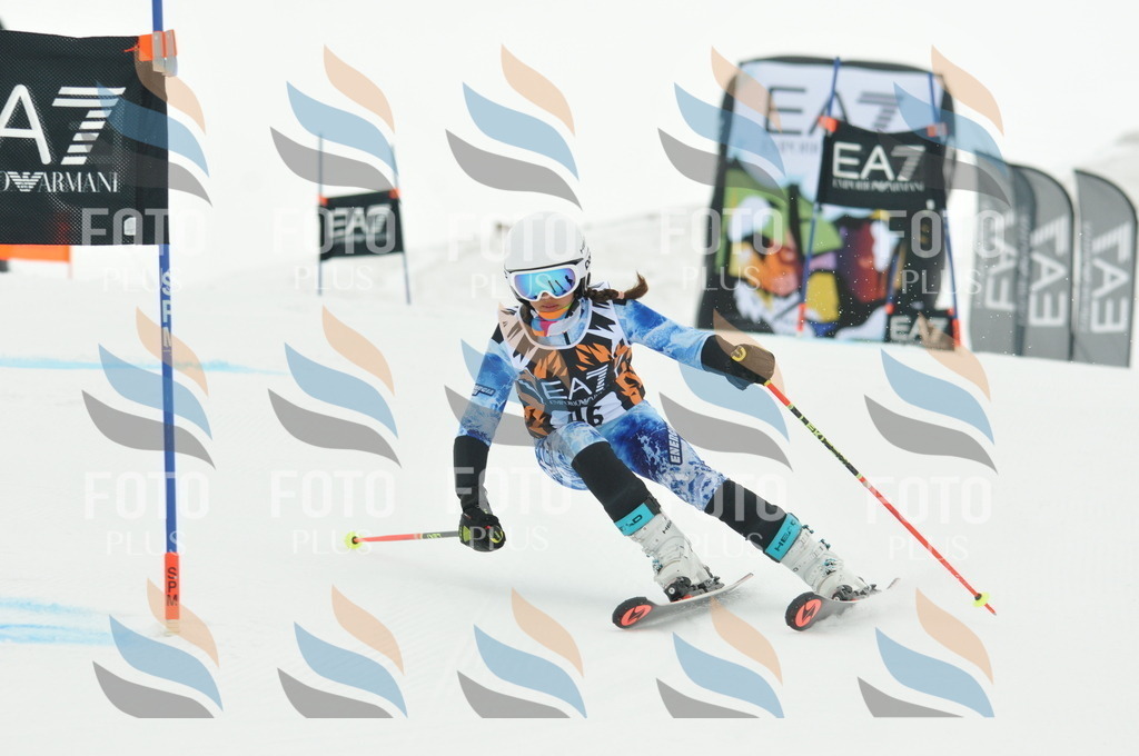 DSC_7683 | holidayphoto