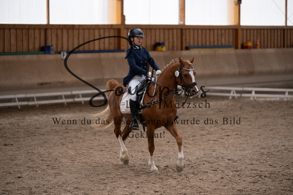 A7V09477 | Pferdefotograf