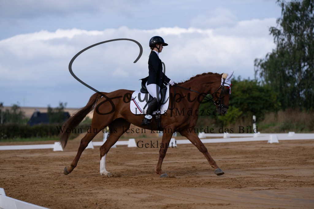 A7V05132 | Pferdefotograf