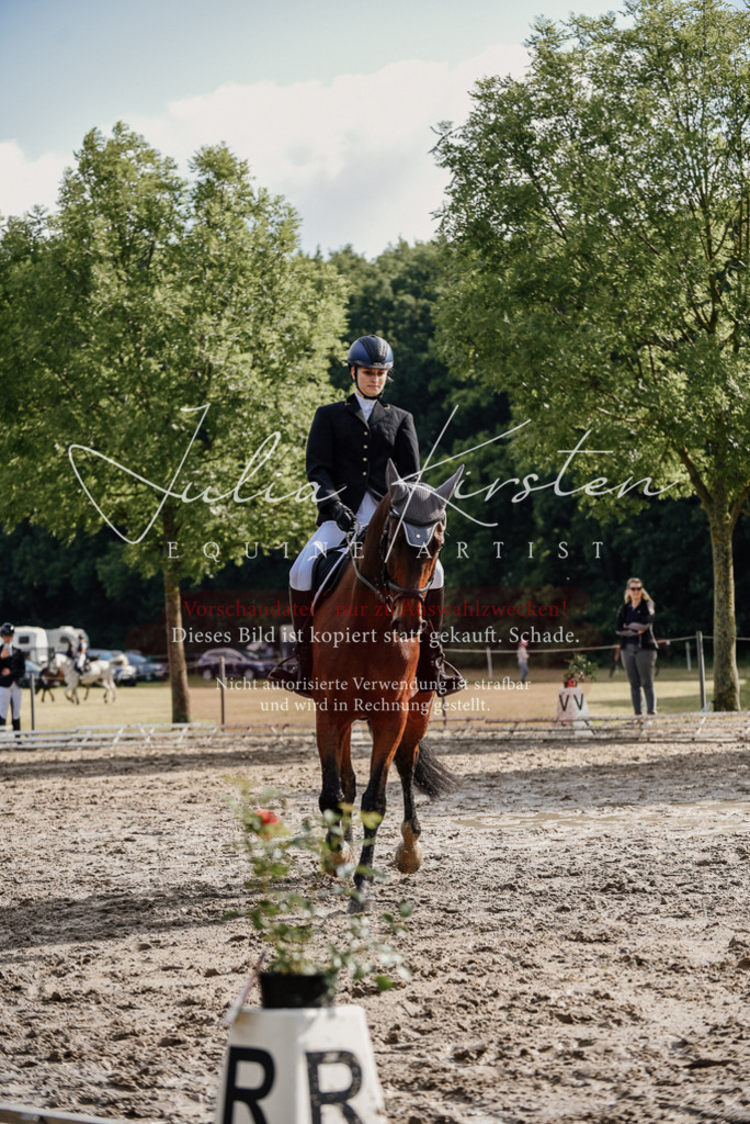DSC_9033 | Pferde- und Turnierfotografie in Westsachsen. Pferdeportraits, Auftragszeichnungen und intuitive Kunst.