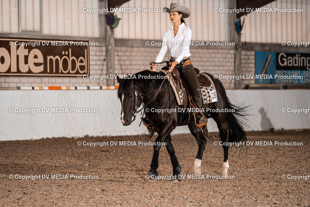 ZH300230 | dv-media-shop - Realisiert mit Pictrs.com